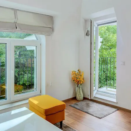 Deluxe Center Apartment