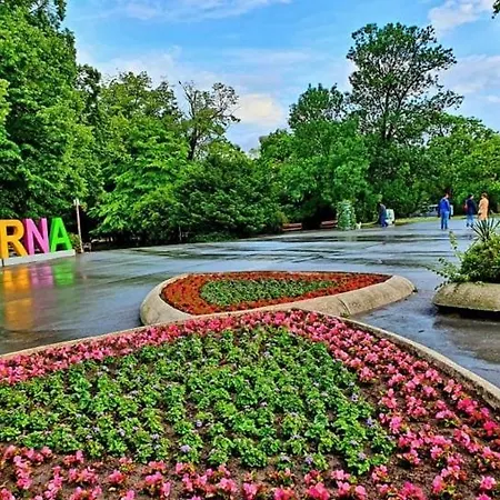 Apartament Deluxe Center