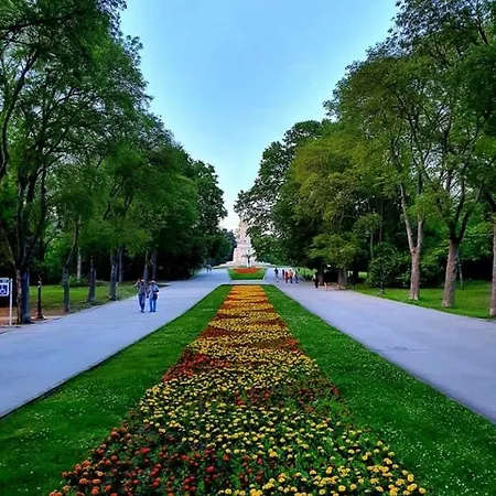 Apartament Deluxe Center